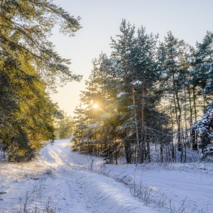 Мороз и тишина